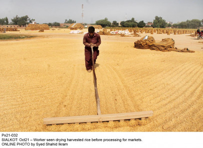 raising agri production 826 community organisations set up