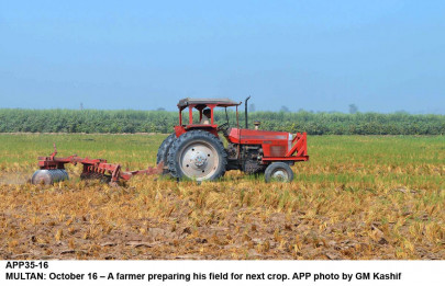 kharif crop production prospects improve kharif crop production prospects improve
