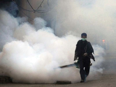 dengue emergency no respite as mosquitoes continue to thrive dengue emergency no respite as mosquitoes continue to thrive