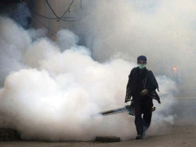 reports from the city district government show the department has already washed out 8 000 dengue mosquito larvae but that has only been done in posh localities of the city photo file