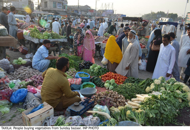 while bitter gourd cauliflower taro roots arvi ladyfingers green chillies and potatoes also showed marginal increase in prices photo inp while bitter gourd cauliflower taro roots arvi ladyfingers green chillies and potatoes also showed marginal increase in prices photo inp