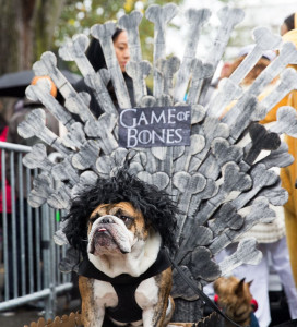 these dogs in halloween costumes are all you need to see today these dogs in halloween costumes are all you need to see today