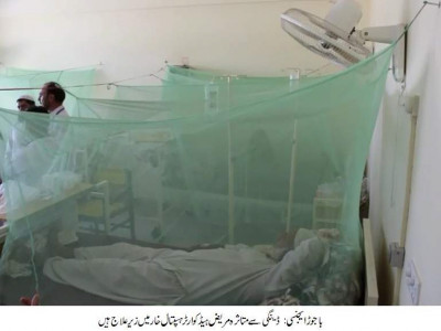 karachi thar to get dengue kits karachi thar to get dengue kits
