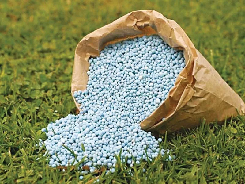 according to the ministry s estimates 1 4 million tons of surplus urea will be available by the end of ongoing rabi crop sowing season at the end of march 2017 photo file according to the ministry s estimates 1 4 million tons of surplus urea will be available by the end of ongoing rabi crop sowing season at the end of march 2017 photo file