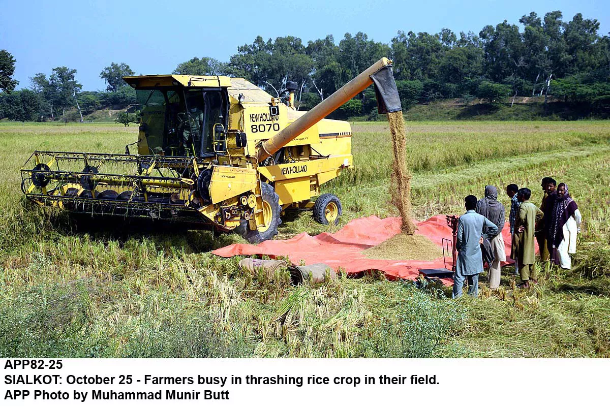 annual reports and survey of the e farming team show that farmers who were getting 20 maunds per acre of cotton yield on average received 40 after the introduction of new technologies photo app annual reports and survey of the e farming team show that farmers who were getting 20 maunds per acre of cotton yield on average received 40 after the introduction of new technologies photo app