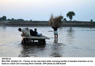 agriculture sector experts call for bringing reforms