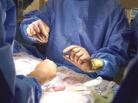 organ transplants coming to pindi