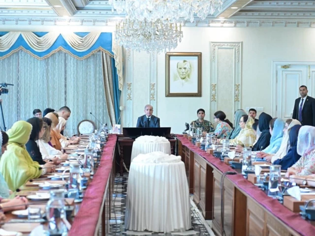 prime minister shehbaz sharif chairs a meeting of women parliamentarians belonging to the pakistan muslim league nawaz in islamabad on wednesday photo pmo prime minister shehbaz sharif chairs a meeting of women parliamentarians belonging to the pakistan muslim league nawaz in islamabad on wednesday photo pmo