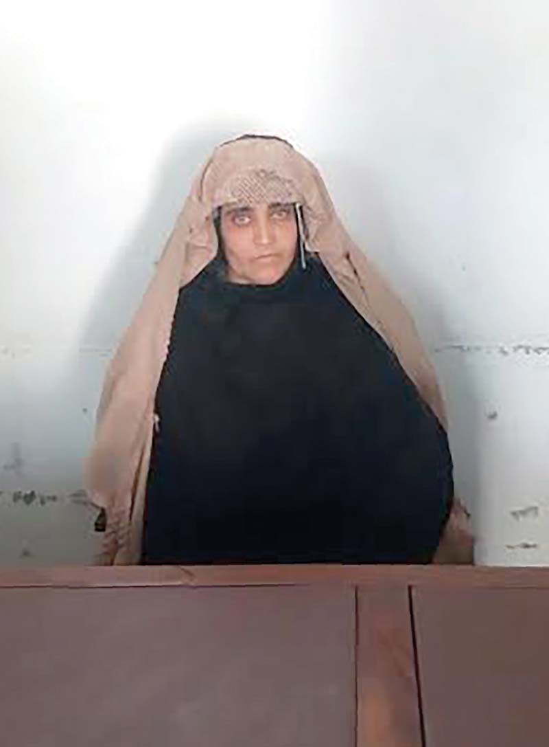 sharbat gula photo file