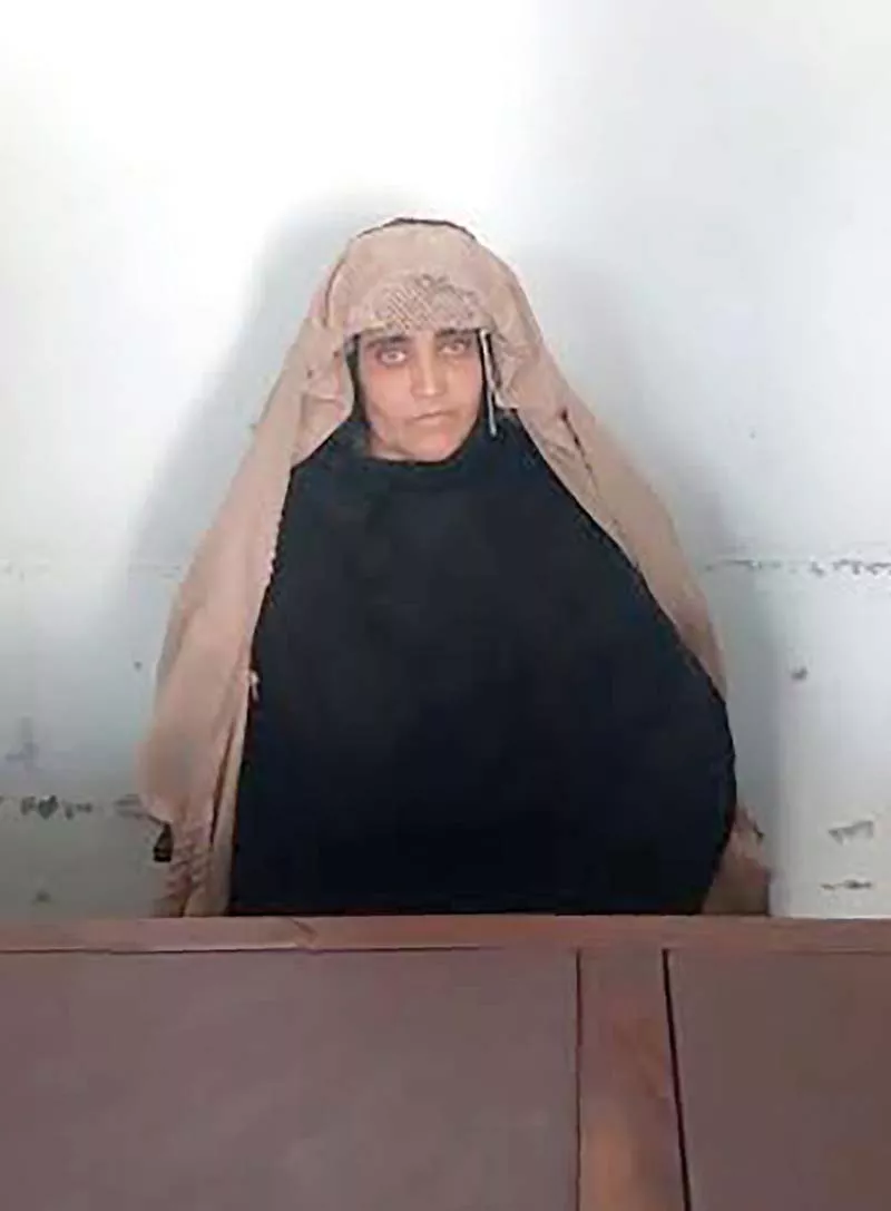 sharbat gula photo file sharbat gula photo file