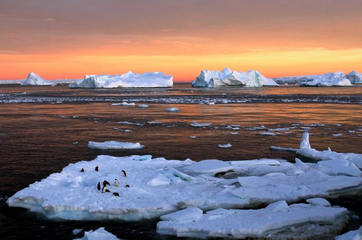 world s largest marine park created in antarctic ocean