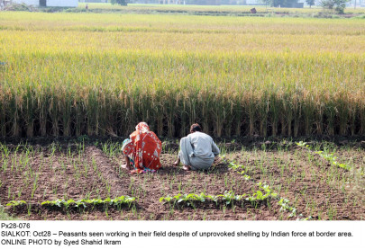 same as punjab farmers demand rs50b interest free loan same as punjab farmers demand rs50b interest free loan