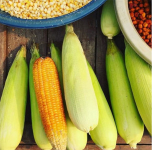 17 mouthwatering pictures of pakistan s favourite street snack 17 mouthwatering pictures of pakistan s favourite street snack