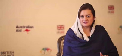 pm appoints maryam aurangzeb as minister of state for information pm appoints maryam aurangzeb as minister of state for information
