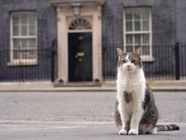 leaders may come and go but larry has been a constant photo file leaders may come and go but larry has been a constant photo file