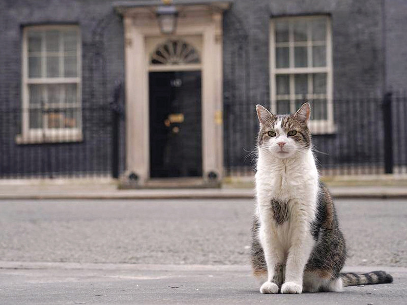 leaders may come and go but larry has been a constant photo file