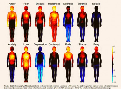 how negative emotions affect our bodies