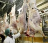 meat worth 520m to be exported to malaysia