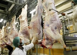 pakistan secures azerbaijan meat deal pakistan secures azerbaijan meat deal