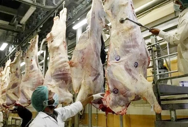 meat worth 520m to be exported to malaysia