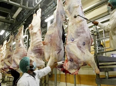 pakistan secures azerbaijan meat deal pakistan secures azerbaijan meat deal