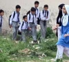 low enrolment schools face closure low enrolment schools face closure
