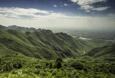 experts urge stronger mhnp protection
