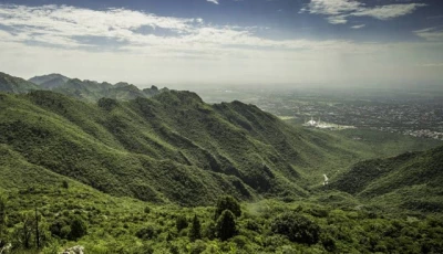 experts urge stronger mhnp protection