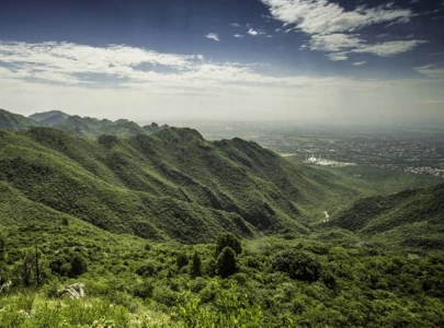 experts urge stronger mhnp protection