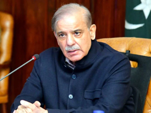 وزیر اعظم شہباز نے چھوٹی گاڑیوں کے لیے پیٹرول پر 100 روپے فی لیٹر ریلیف کا اعلان کیا