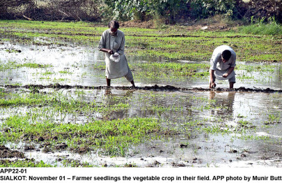 dry run water shortage to hit winter crop sowing