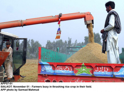 pakistan mercantile exchange futures contract of paddy rice to be listed pakistan mercantile exchange futures contract of paddy rice to be listed