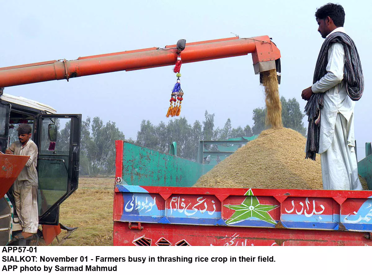 the step has been taken to promote electronic trading of agricultural commodities through the platform of pmex photo app the step has been taken to promote electronic trading of agricultural commodities through the platform of pmex photo app