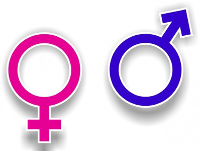 trouble ridden gender gap