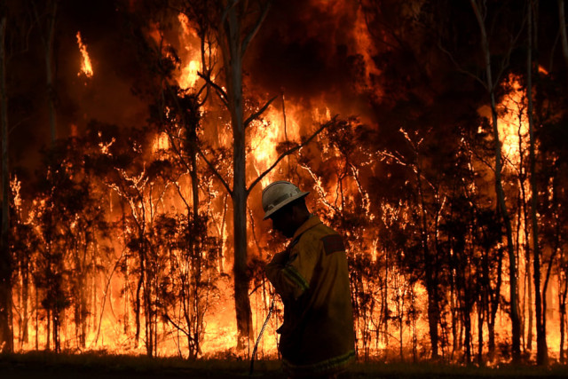 rural fire service firefighters battle a bushfire in medowie near port stephens australia photo reuters rural fire service firefighters battle a bushfire in medowie near port stephens australia photo reuters