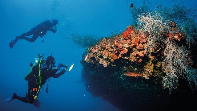 the ss yongala dive site near townsville is one of the best wreck dives in the world at 110 metres long the yongalla is one of the largest most intact historic shipwrecks and intriguing maritime mysteries photo screenshot the ss yongala dive site near townsville is one of the best wreck dives in the world at 110 metres long the yongalla is one of the largest most intact historic shipwrecks and intriguing maritime mysteries photo screenshot