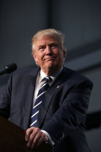 markets in free fall as trump moves into lead markets in free fall as trump moves into lead