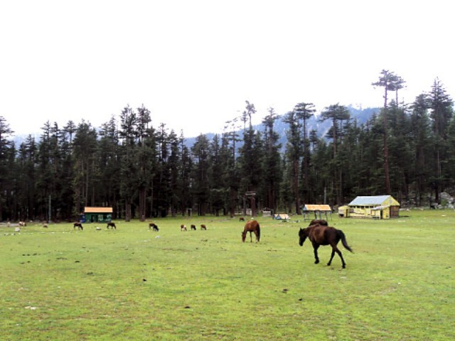 punjab govt has initiated several development projects photo express