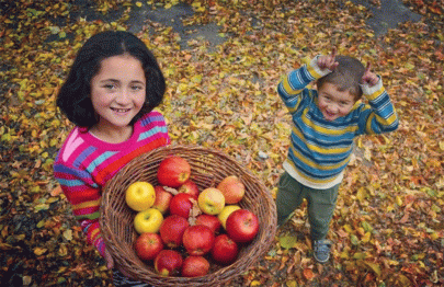 these 17 pictures show how beautiful autumn is in pakistan these 17 pictures show how beautiful autumn is in pakistan