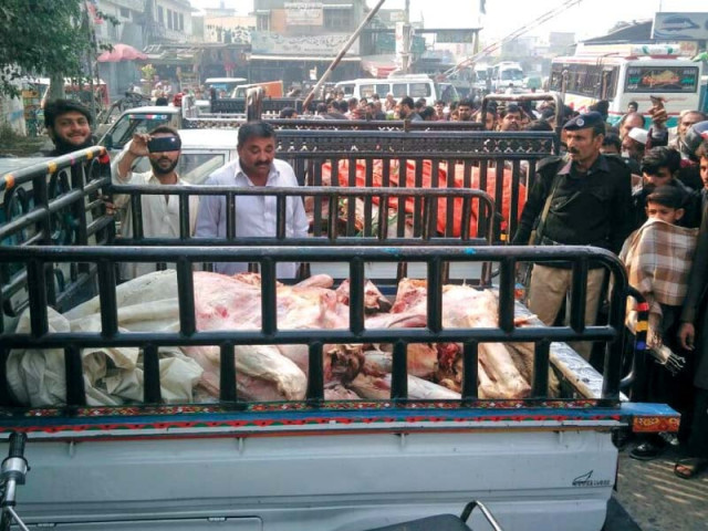 officials stand next to pickups loaded with seized unhygienic meat photo waseem nazir express officials stand next to pickups loaded with seized unhygienic meat photo waseem nazir express