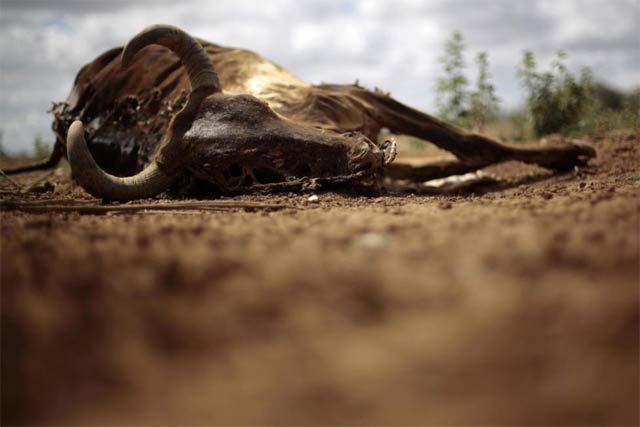 experts say 2016 is likely to become the hottest year on record due to continued burning of fossil fuels photo reuters