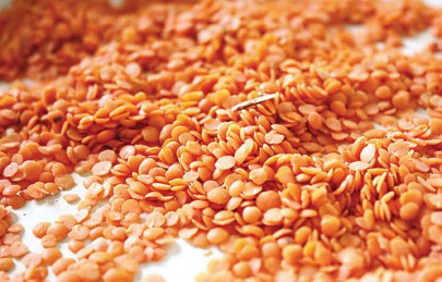 better yield quality seeds can reduce import of pulses better yield quality seeds can reduce import of pulses