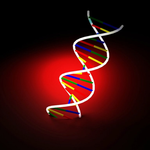 even if dna testing is conducted the database in karachi is so small that it is very unlikely that the sample can be matched to a particular person even if dna testing is conducted the database in karachi is so small that it is very unlikely that the sample can be matched to a particular person