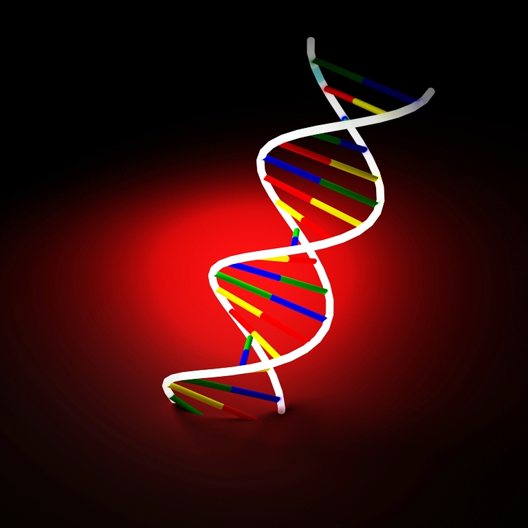 Use modern methods for DNA tests, says SHC - Vimarsana News