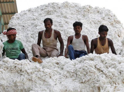 pakistan suspends cotton imports from india
