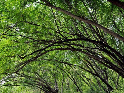 pdma issues monsoon safety alert