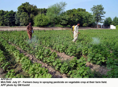 farmers woes sindh agriculture body asks fair pricing