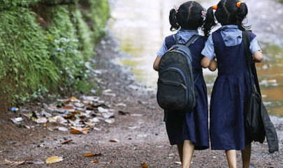 the curious case of an american cousin the curious case of an american cousin