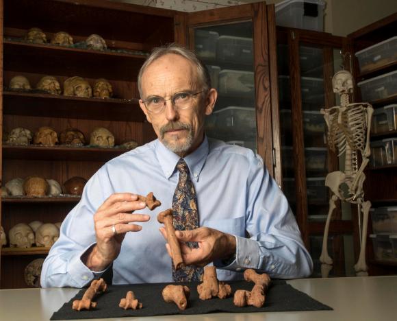 paleoanthropologist john kappelman is seen with 3d printouts of lucy s skeleton illustrating the compressive fractures in her right humerus that she suffered at the time of her death 3 18 million years ago in this image from the university of texas at austin u s for release on november 30 2016 courtesy marsha miller the university of texas at austin handout via reuters