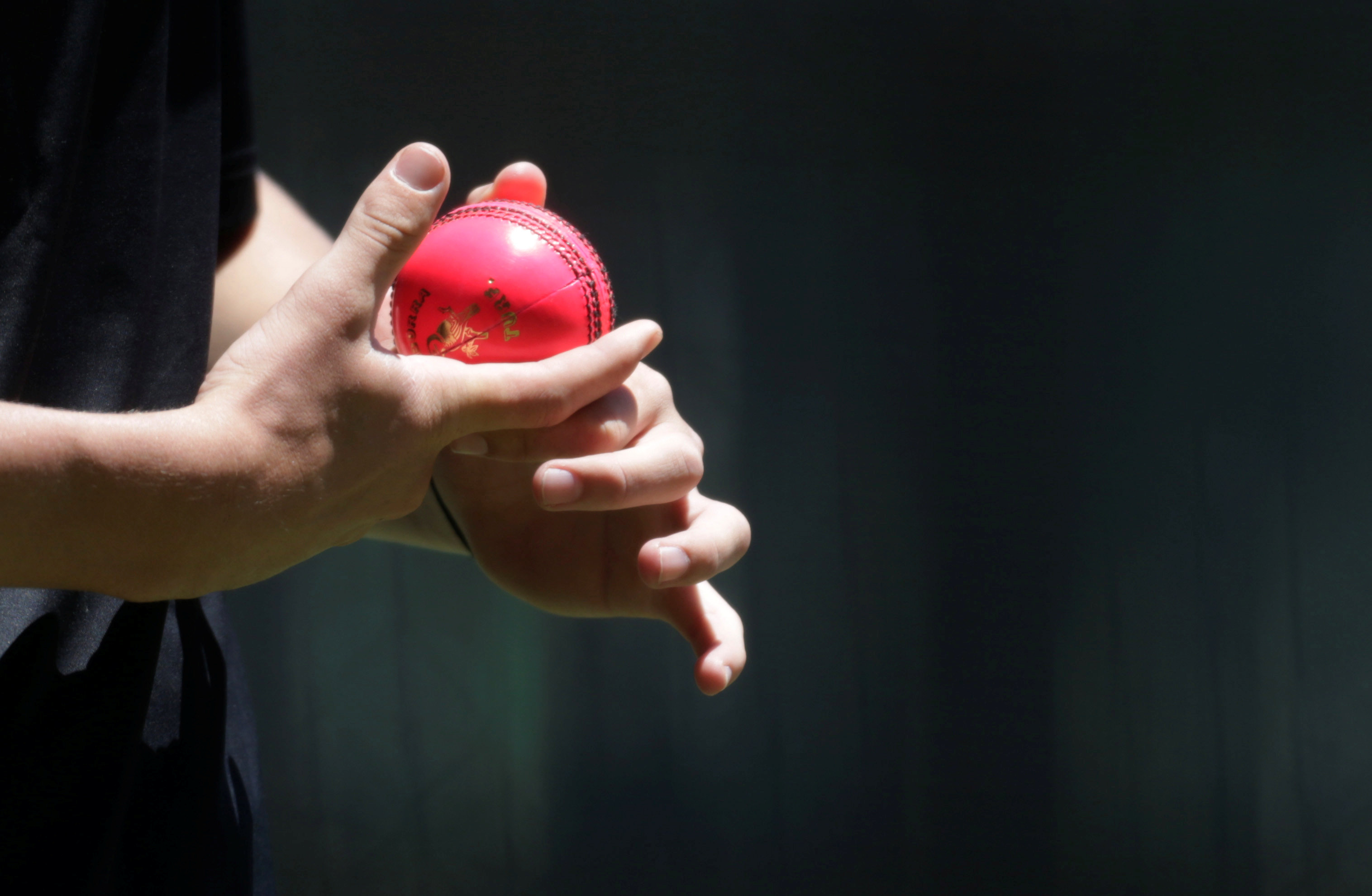 a pink ball to be used in the third test match between australia and south africa photo reuters jason reed
